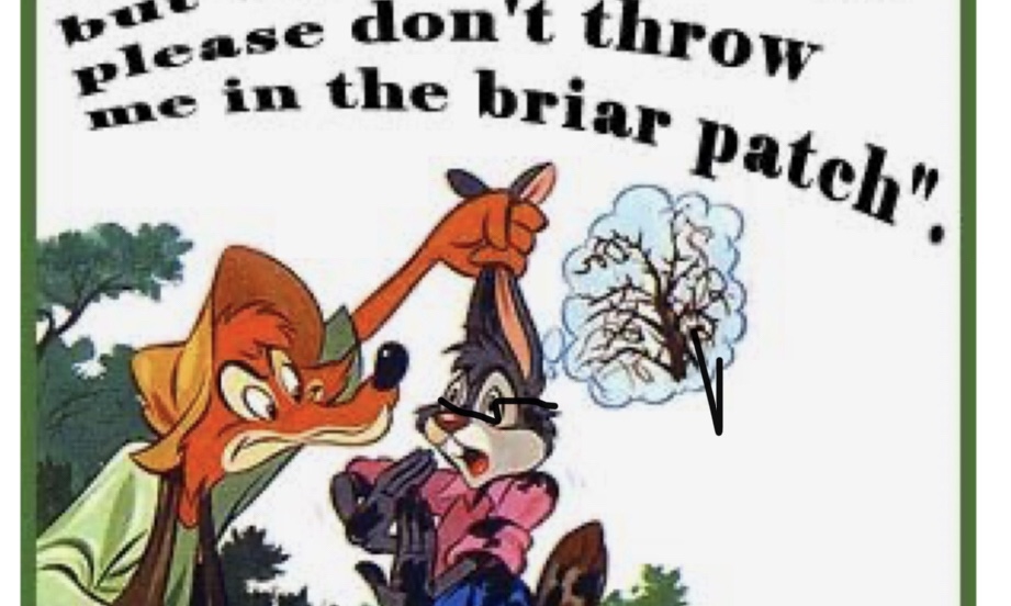 Brer Fox and the Rabbit